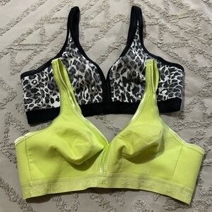 Cacique Women's Intimates Leopard and Lime Bra Set size 42 C